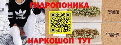 СК Дубна