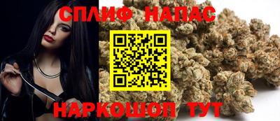 ECSTASY Заводоуковск
